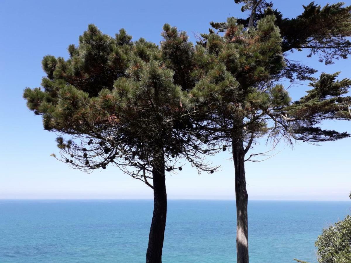 Granville Plage Plat Gousset Kültér fotó